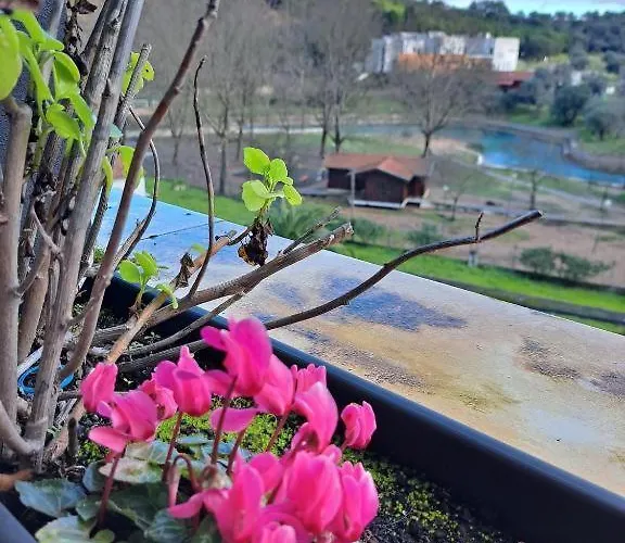 فندق Olhos D' Agua الكانينا